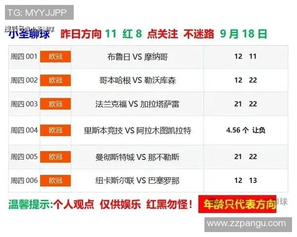比勒费尔德对德累斯顿比赛结果分析与精彩瞬间回顾