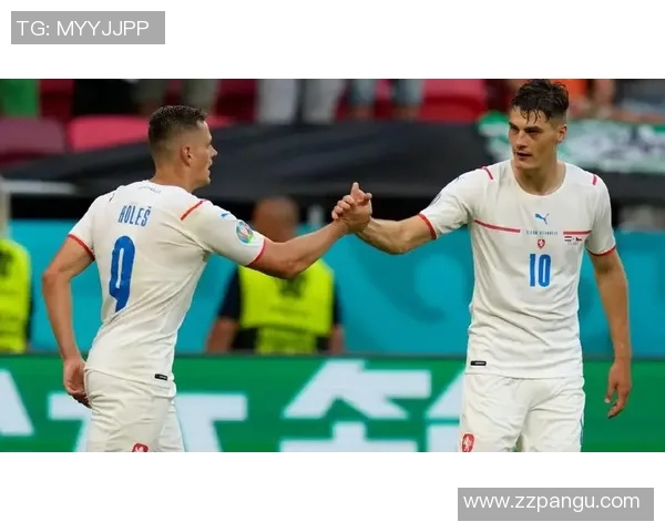 波兰对捷克精彩比赛视频回放与分析全攻略