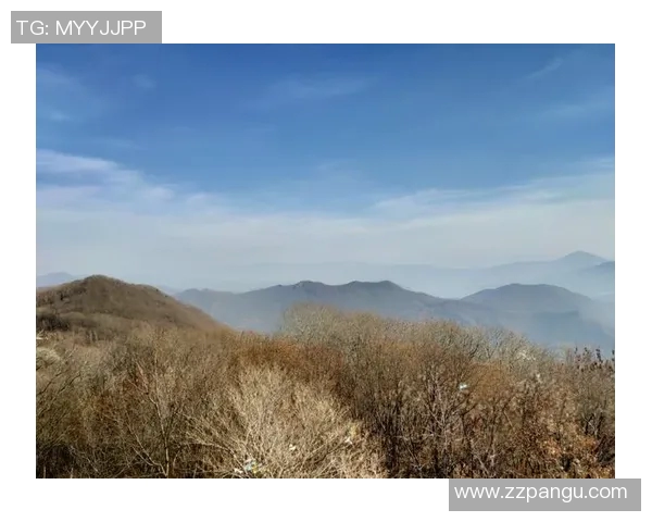 青海卫视精彩节目表一览让您不错过每一个精彩瞬间