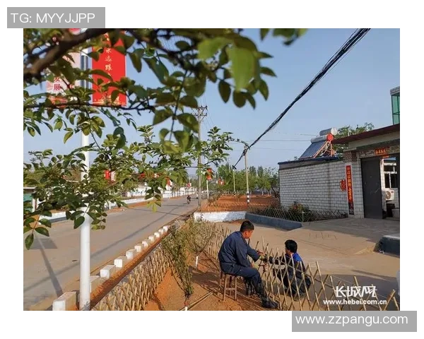 河北农民频道在线直播助力乡村振兴展现农民新风貌与发展机遇 河北农民频道在线直播助力乡村振兴展现农民新风貌与发展机遇