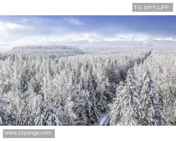 雪缘之旅:探索冰雪世界的奇妙与温暖 雪缘之旅:探索冰雪世界的奇妙与温暖